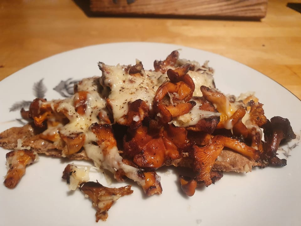 Kantarellmacka på knäckebröd